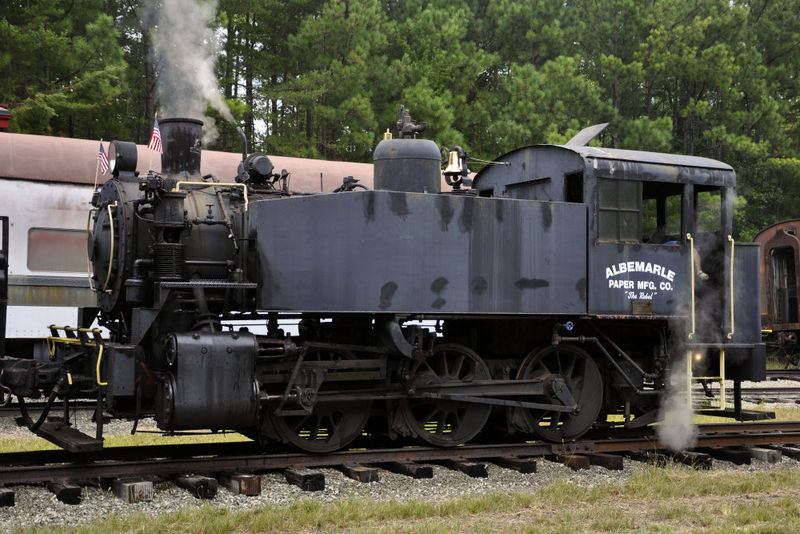 albermarlePaper5019-castellow.jpg