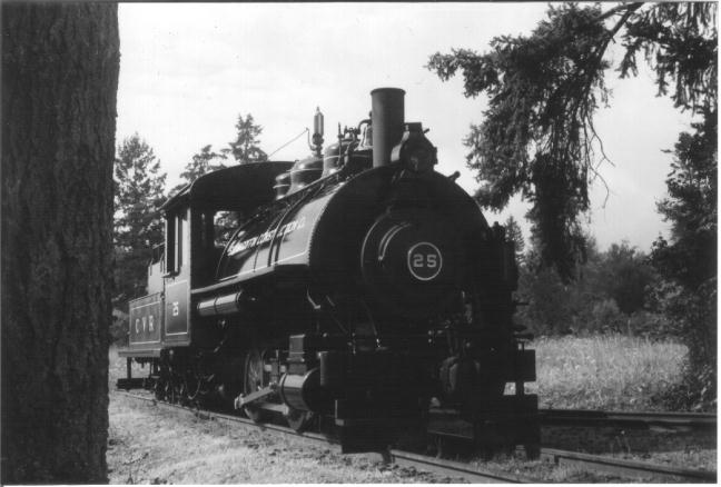 dymco25.jpg