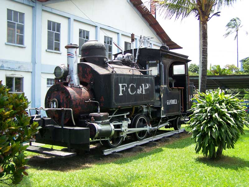 fcalp14.jpg