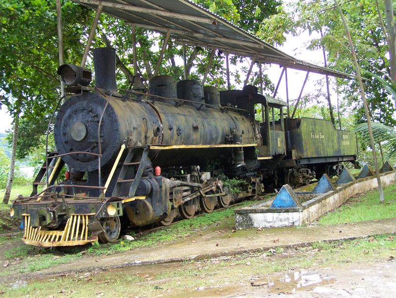 fcdelsur81.jpg