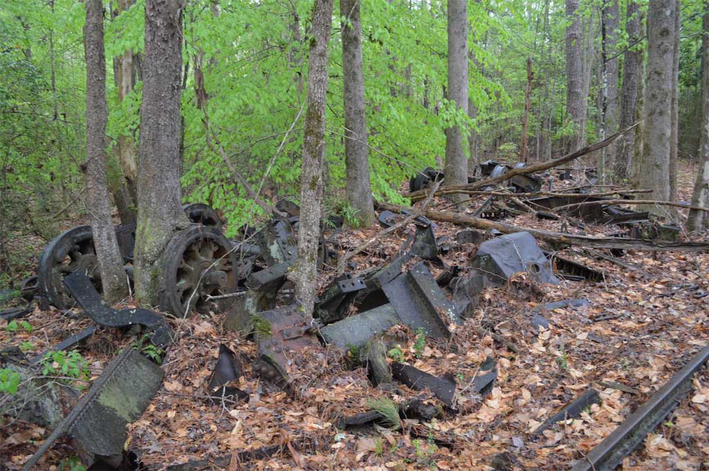longleafShay-capewell3.jpg