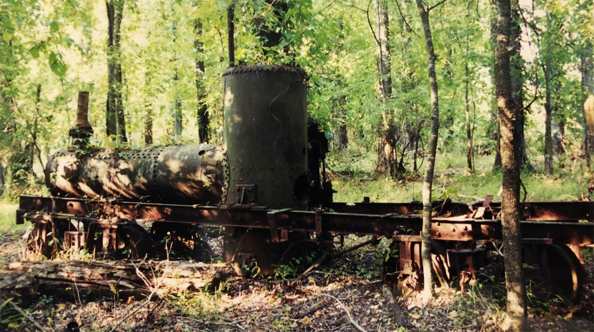 shay196-bogle1.jpg